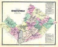 Springfield, Otsego County 1868